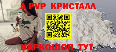 СК Будённовск